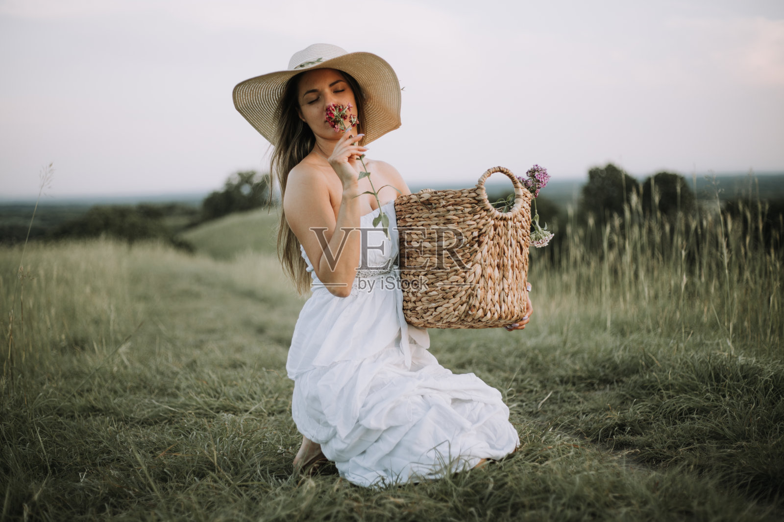 自然之美照片摄影图片