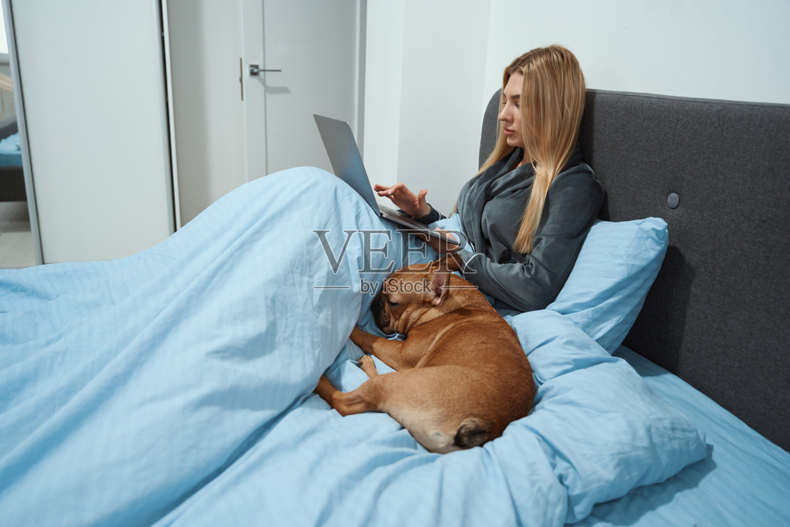 专注的年轻女子在卧室使用便携式电脑照片摄影图片