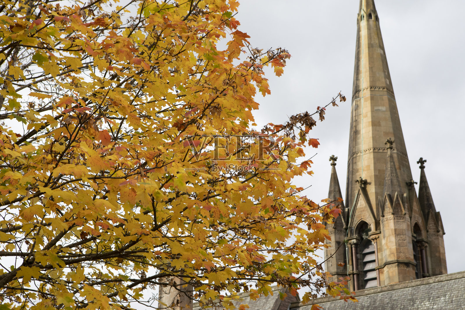 秋天的树叶落在树上和教堂的塔尖上照片摄影图片