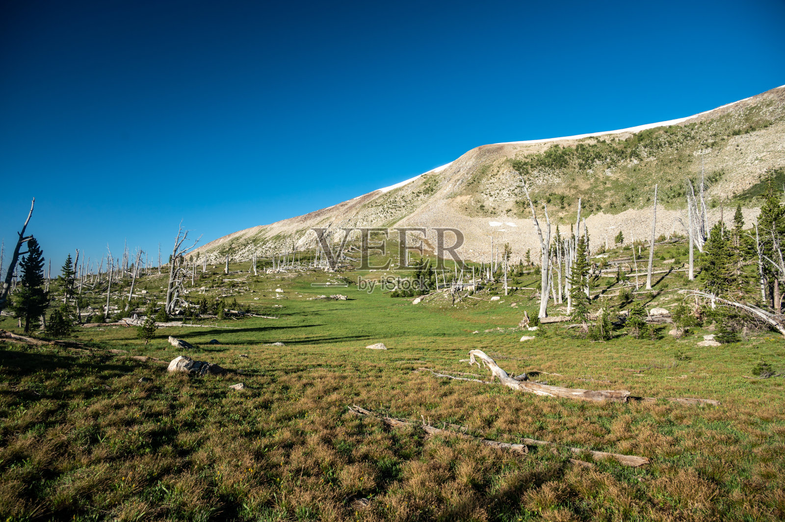 通往霍姆斯山的小径上的草地照片摄影图片