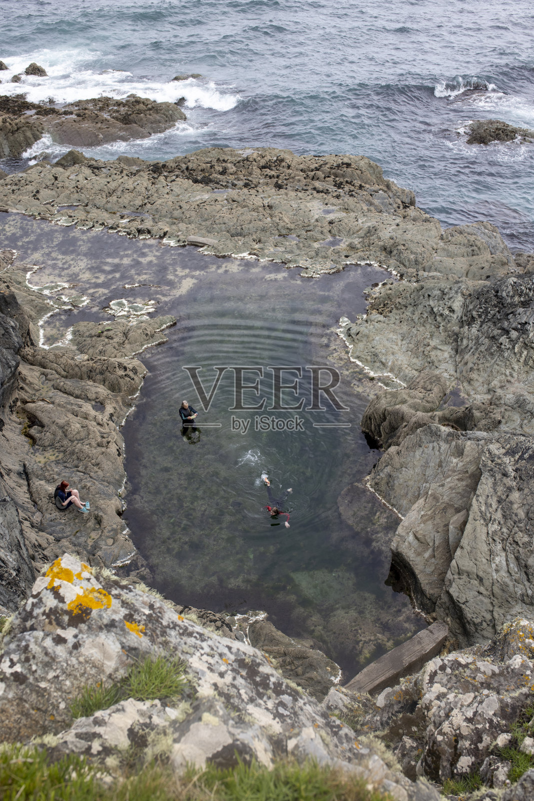 在潮汐池游泳照片摄影图片
