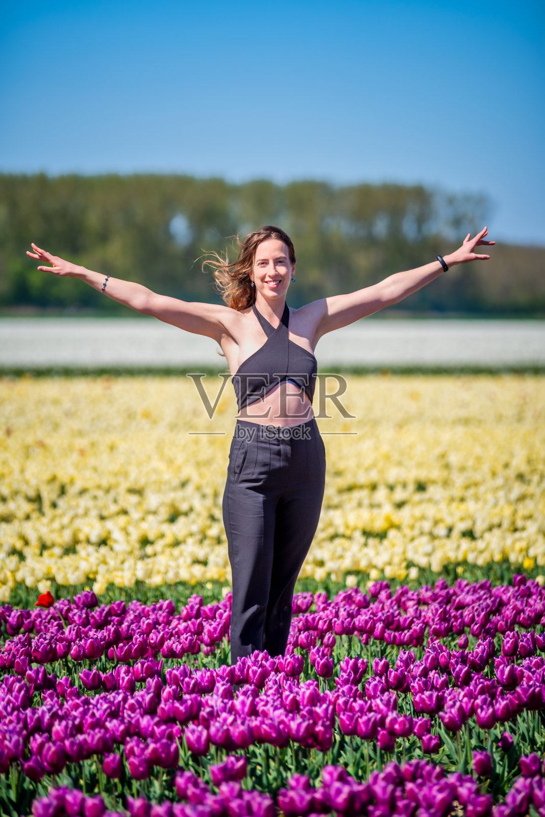 成年雌性在紫色和黄色郁金香的海洋中快乐照片摄影图片