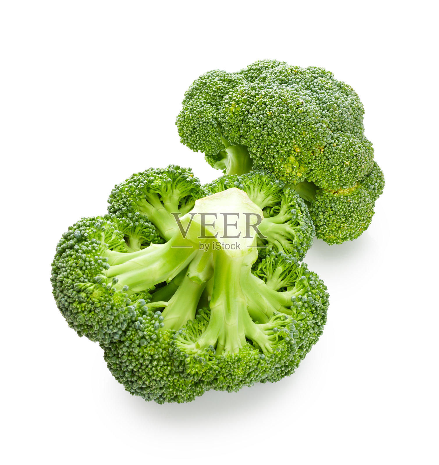 白色背景上的新鲜西兰花照片摄影图片