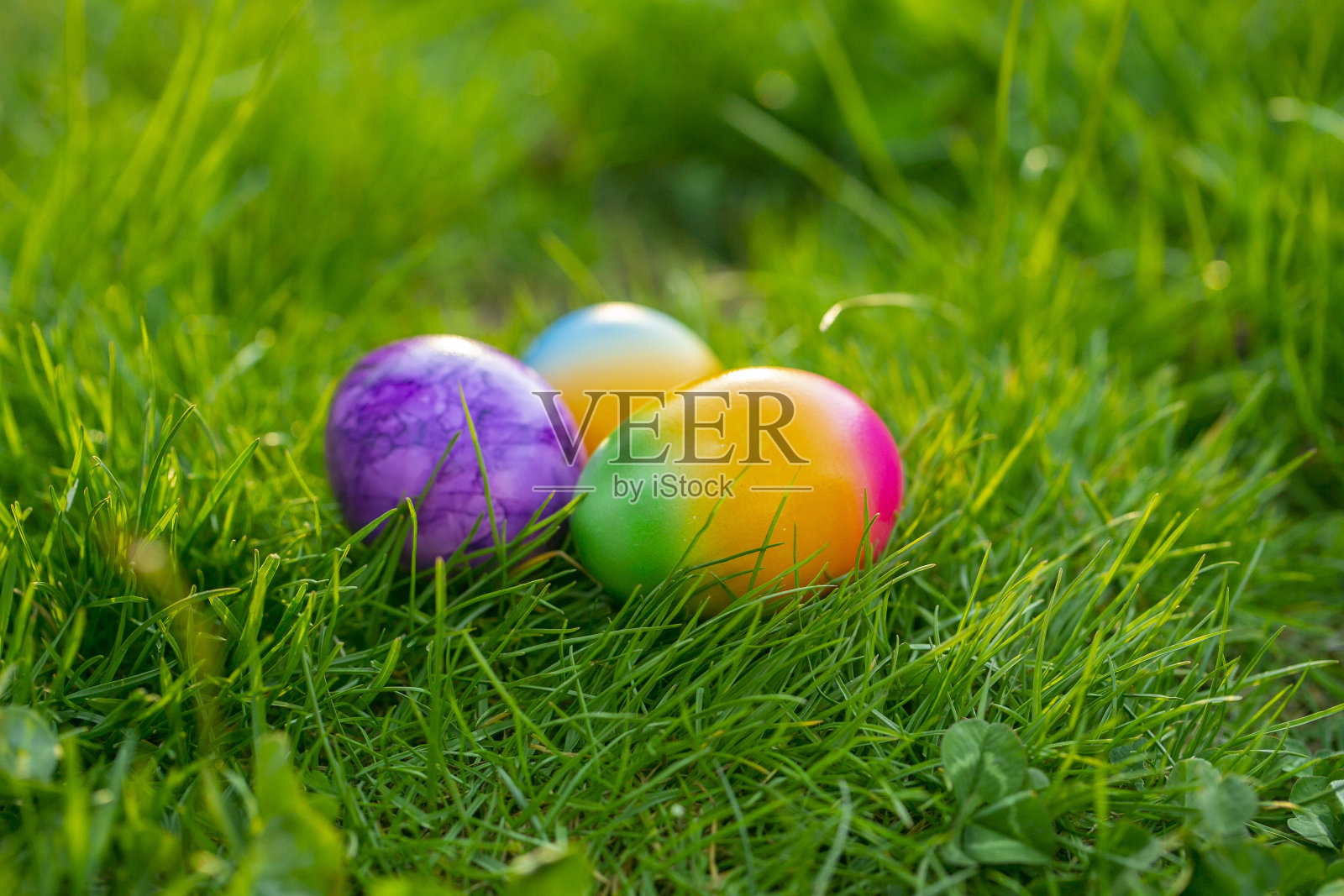 彩蛋在绿色的草地上。复活节食物。春季宗教节日。寻找复活节彩蛋。收集彩色鸡蛋。节日传统照片摄影图片