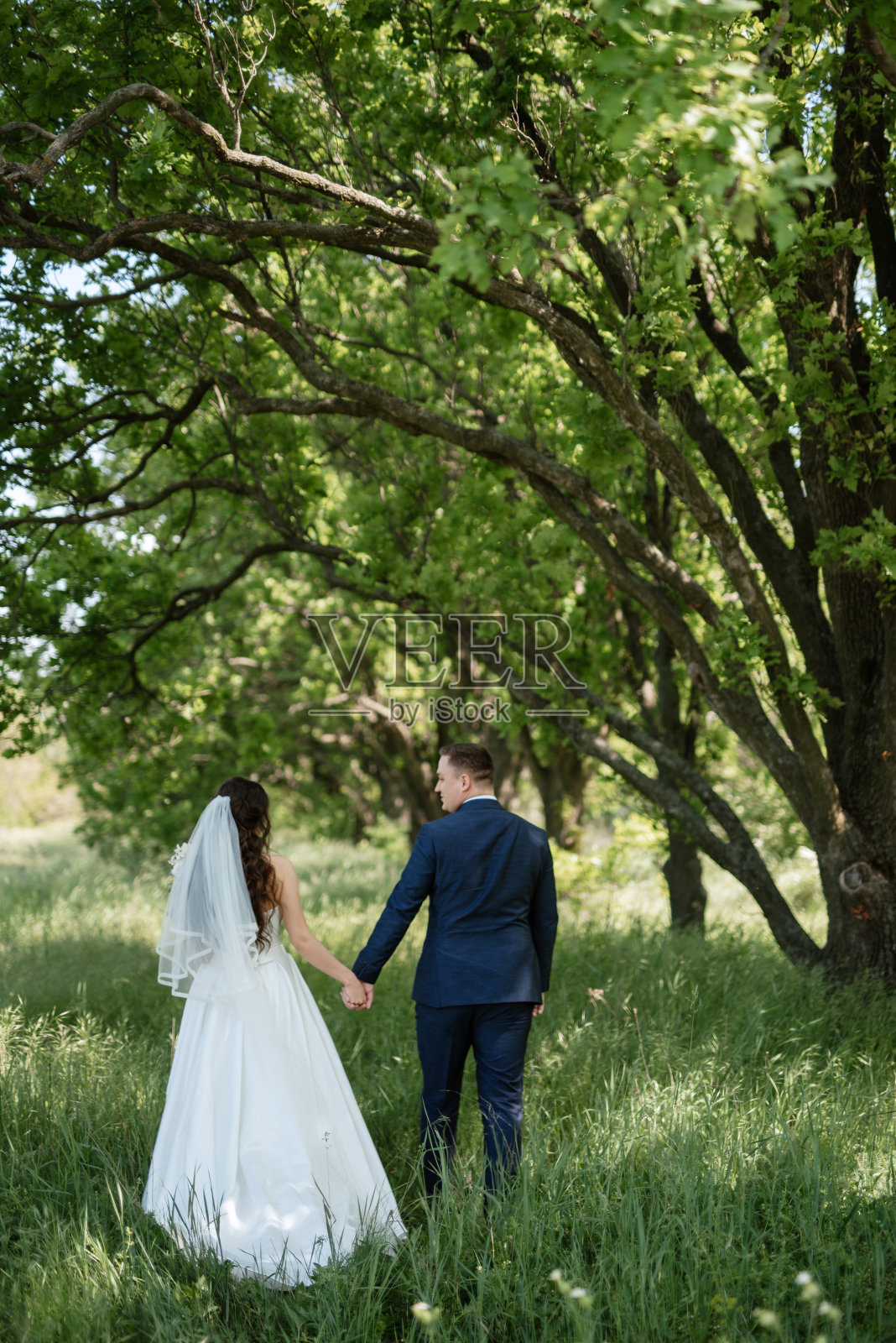 新郎和新娘走在森林里照片摄影图片