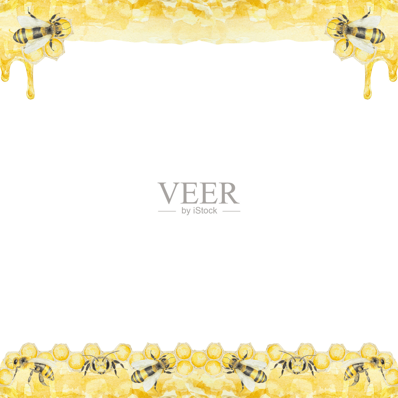 水彩手绘的蜜蜂和蜂蜜孤立在白色背景框架插画图片素材