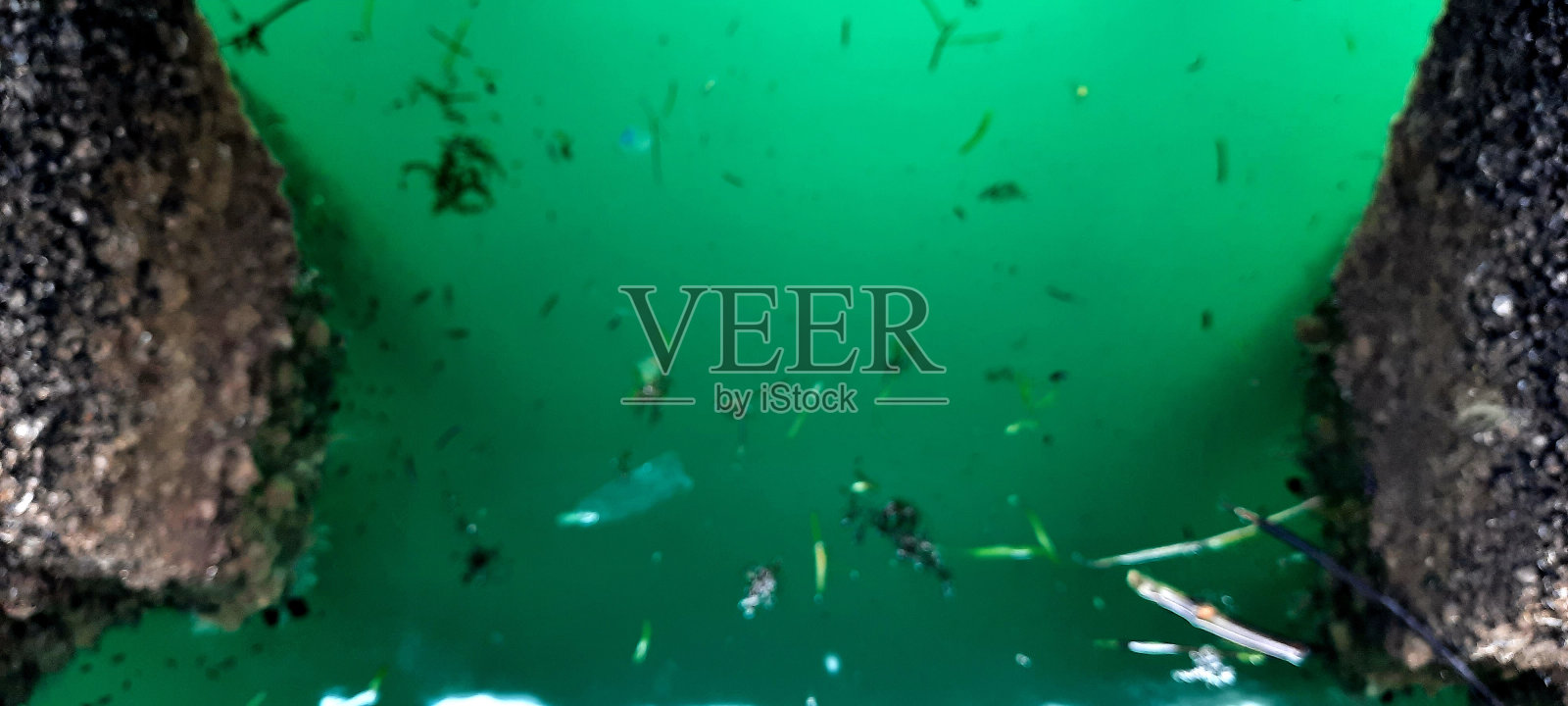 码头和绿色的海水照片摄影图片