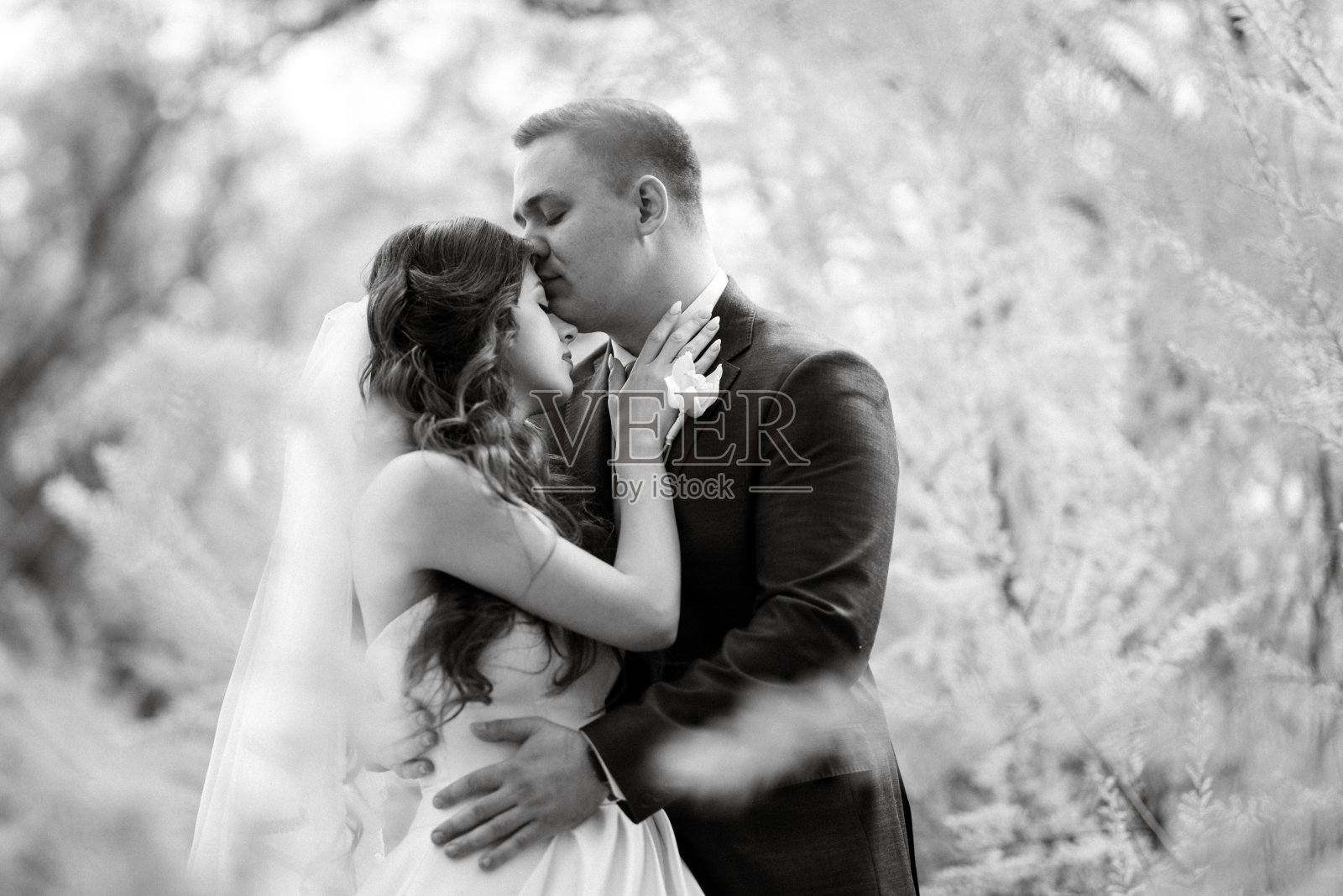 新郎和新娘走在森林里照片摄影图片