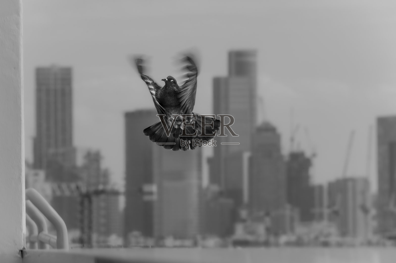 特拉维夫上空的翅膀照片摄影图片