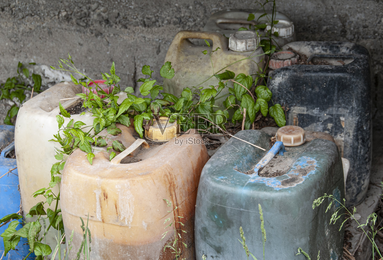 在塑料罐中非法倾倒化学品。照片摄影图片