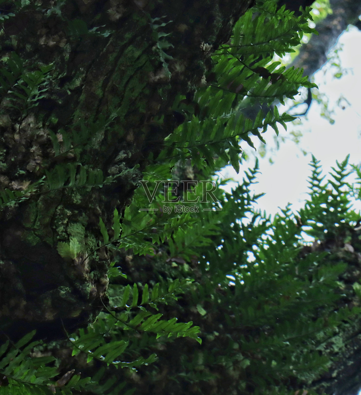 生活照片摄影图片