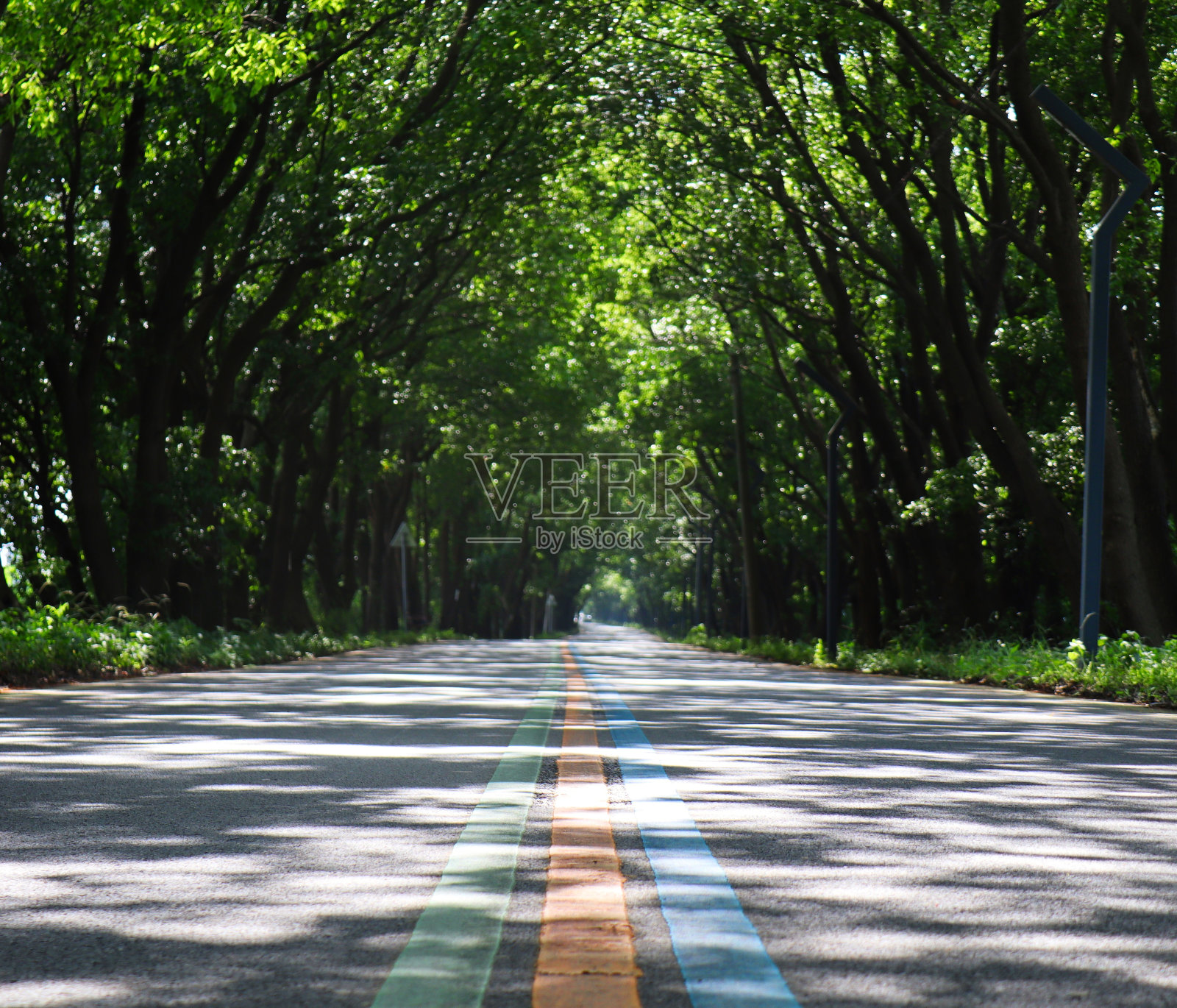 生活照片摄影图片