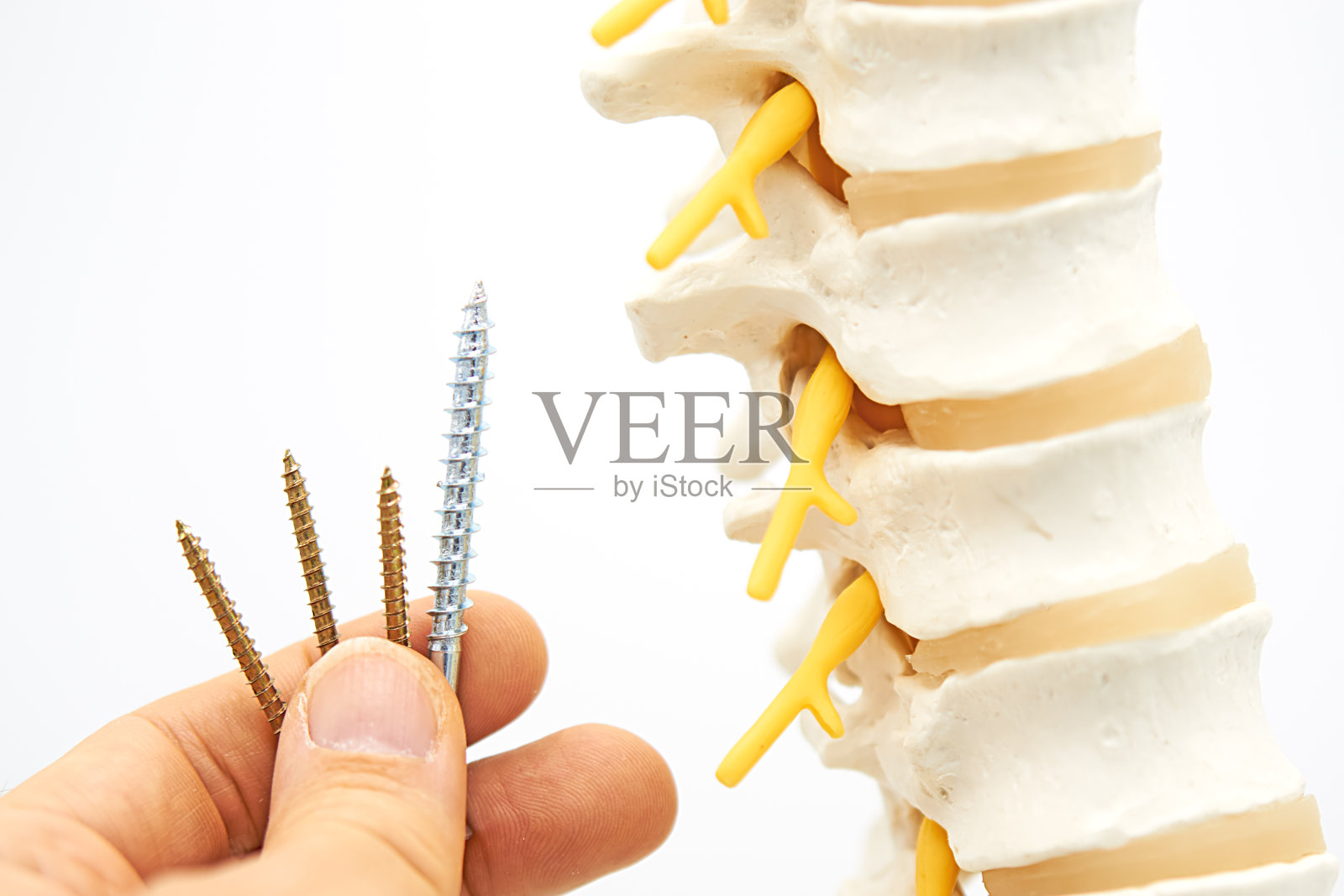 脊柱照片摄影图片