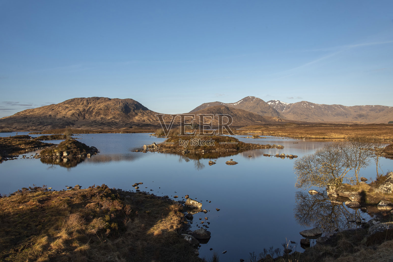 格兰科，苏格兰，兰诺克荒原照片摄影图片