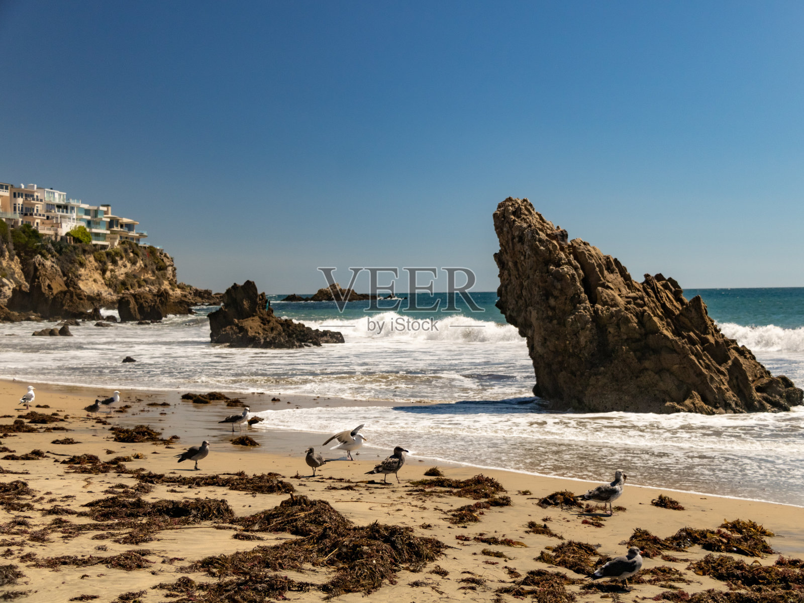 海之冠照片摄影图片