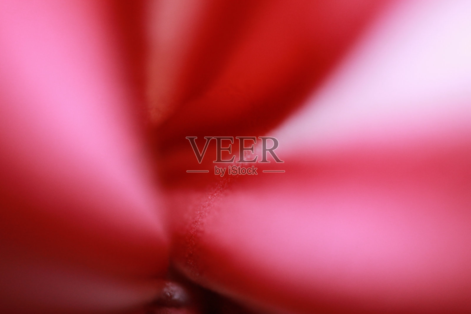 模糊的红色和白色爆破照片照片摄影图片