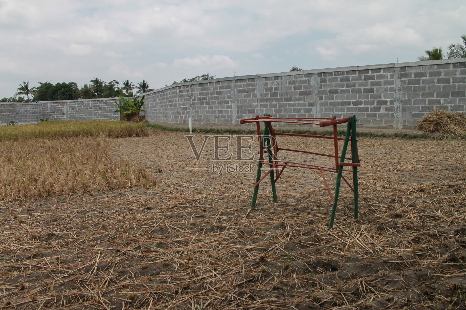 竹制晾衣绳的照片，放置在稻田中间照片摄影图片