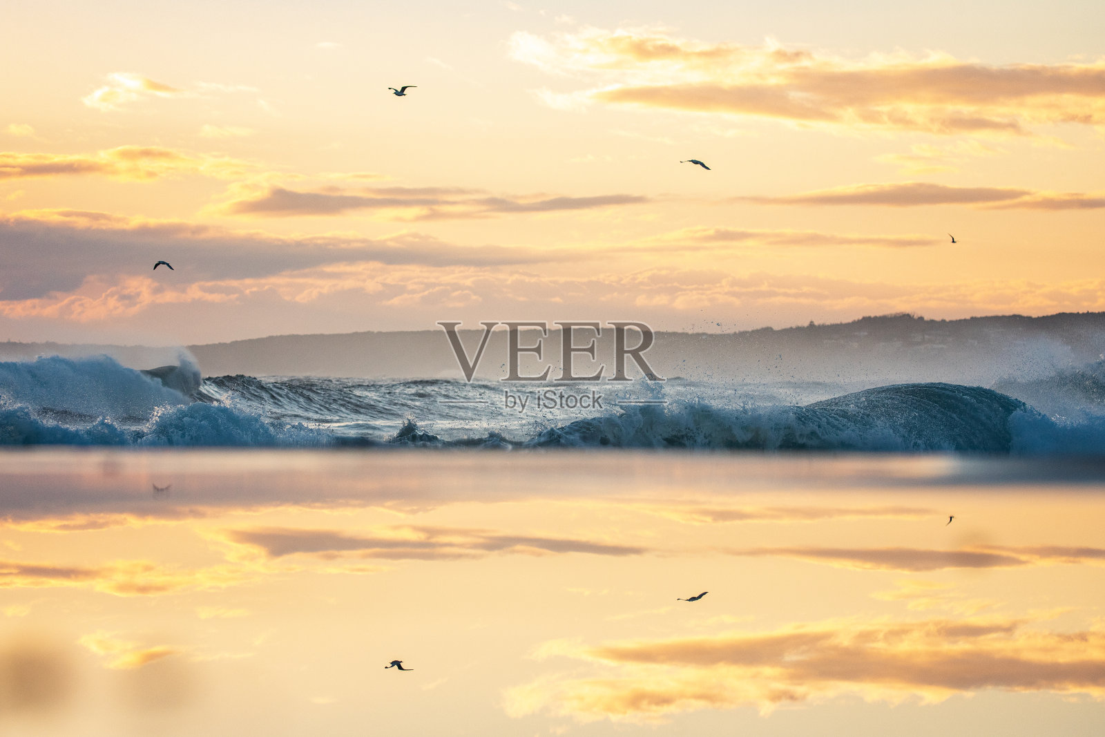 在清晨金色的阳光下，海浪滚滚而来，海鸟倒映在平静的水面上照片摄影图片