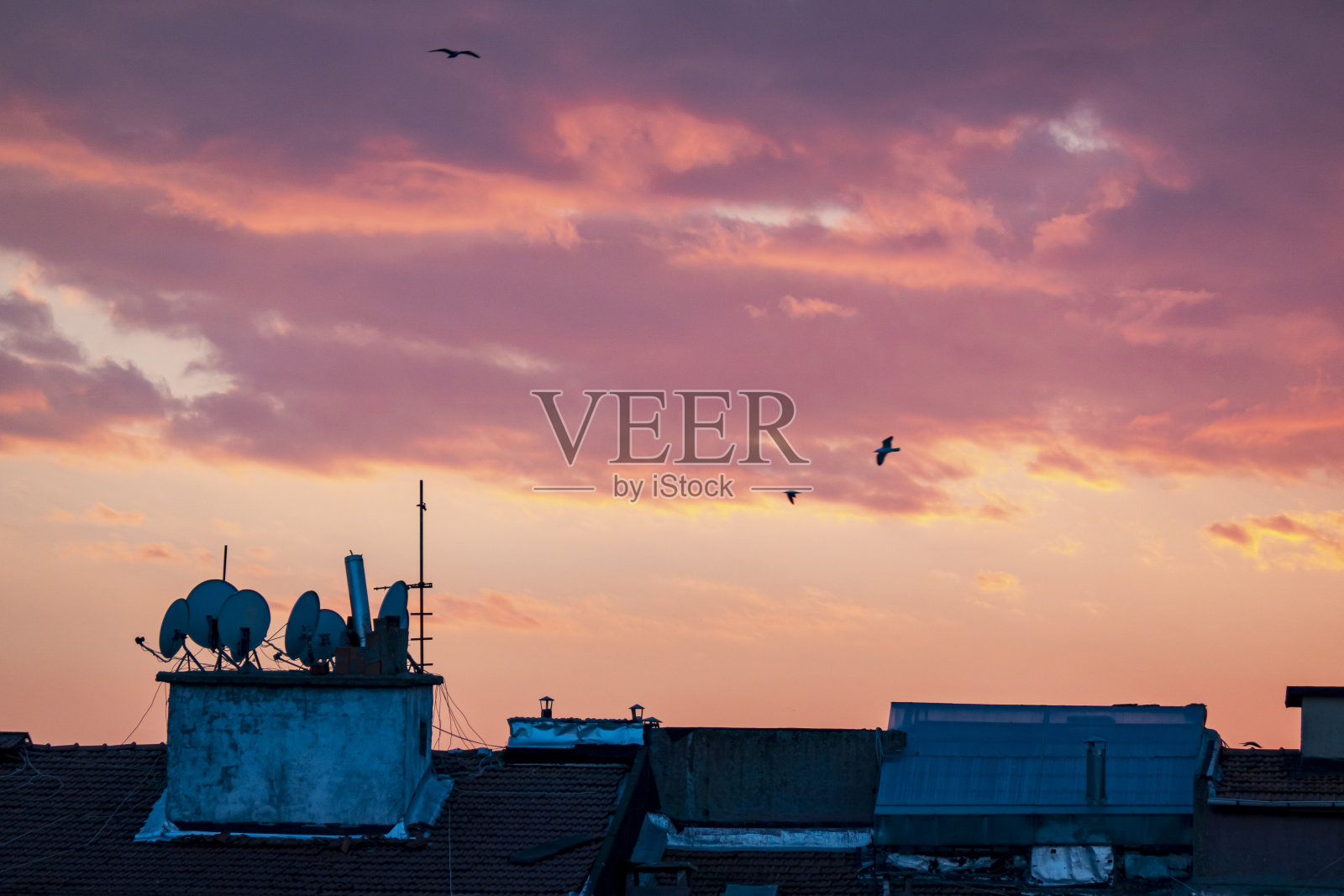 屋顶上的夕阳照片摄影图片