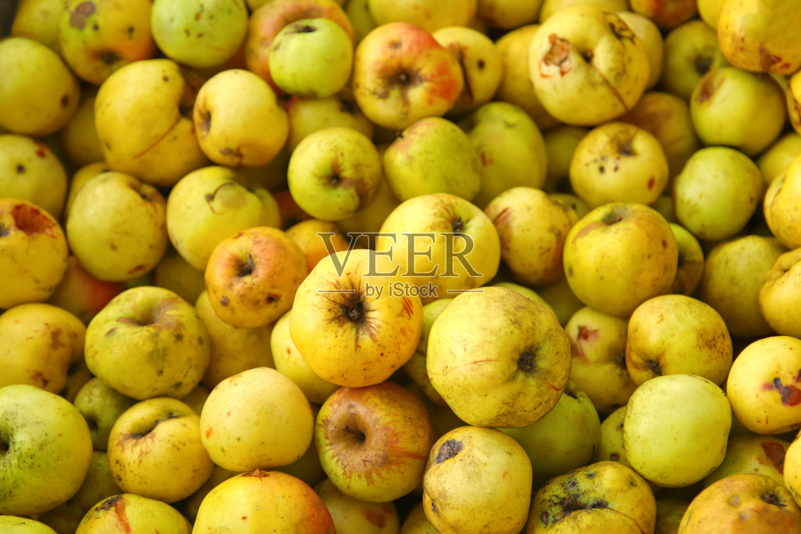 散焦许多黄色水果背景。青苹果的口感，很多青苹果。苹果存储。超市里一盒美味的青苹果。焦点不清照片摄影图片