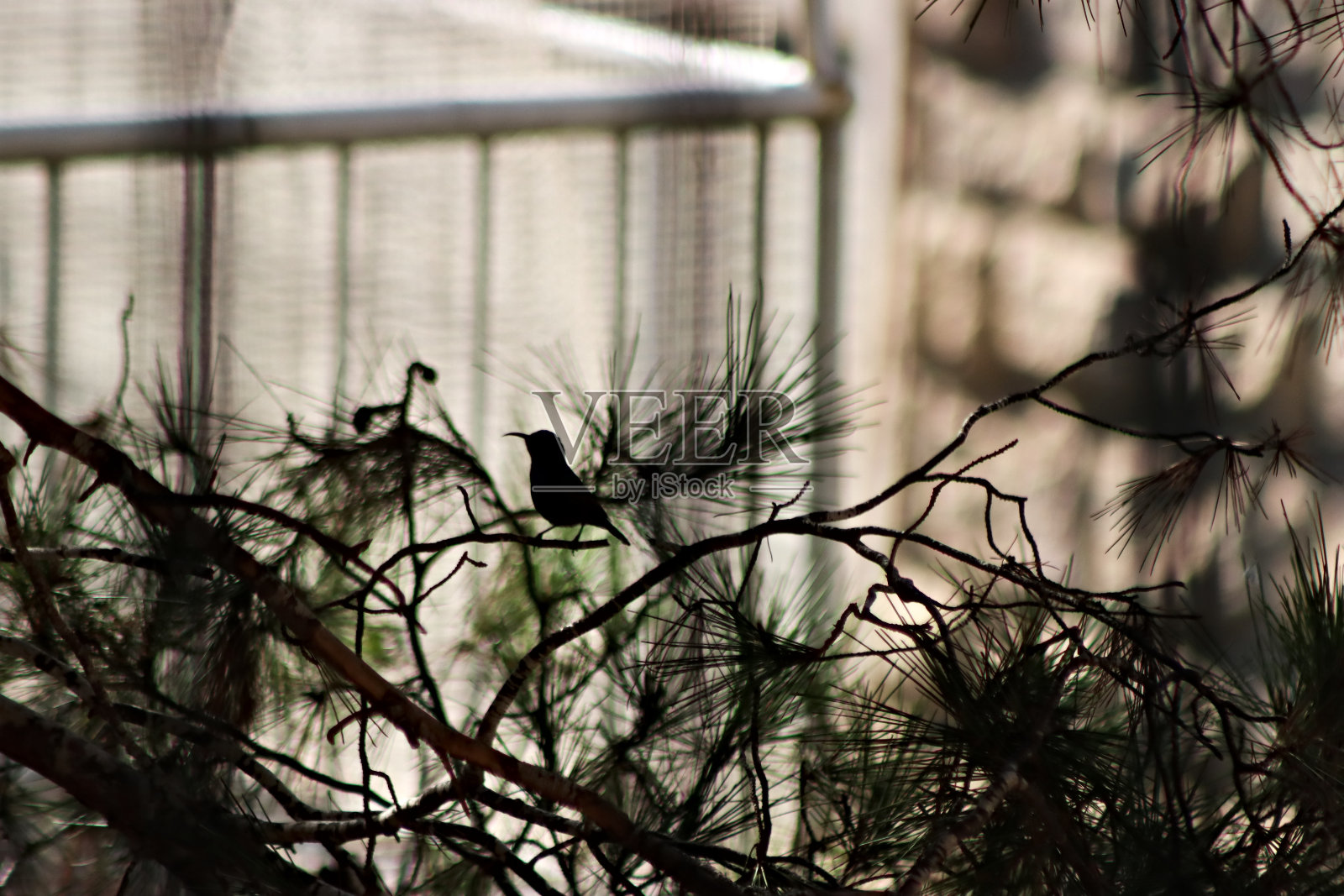 阴影的存在照片摄影图片