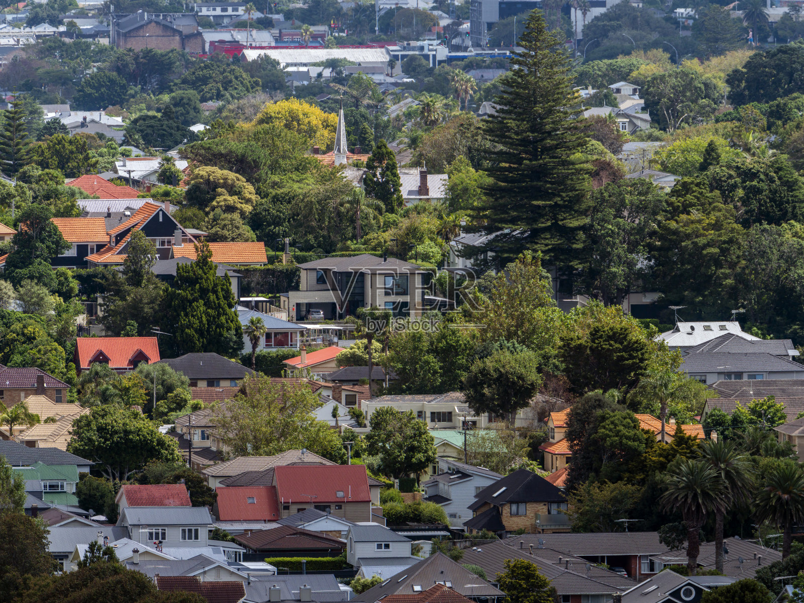 奥克兰城市详细远景照片摄影图片