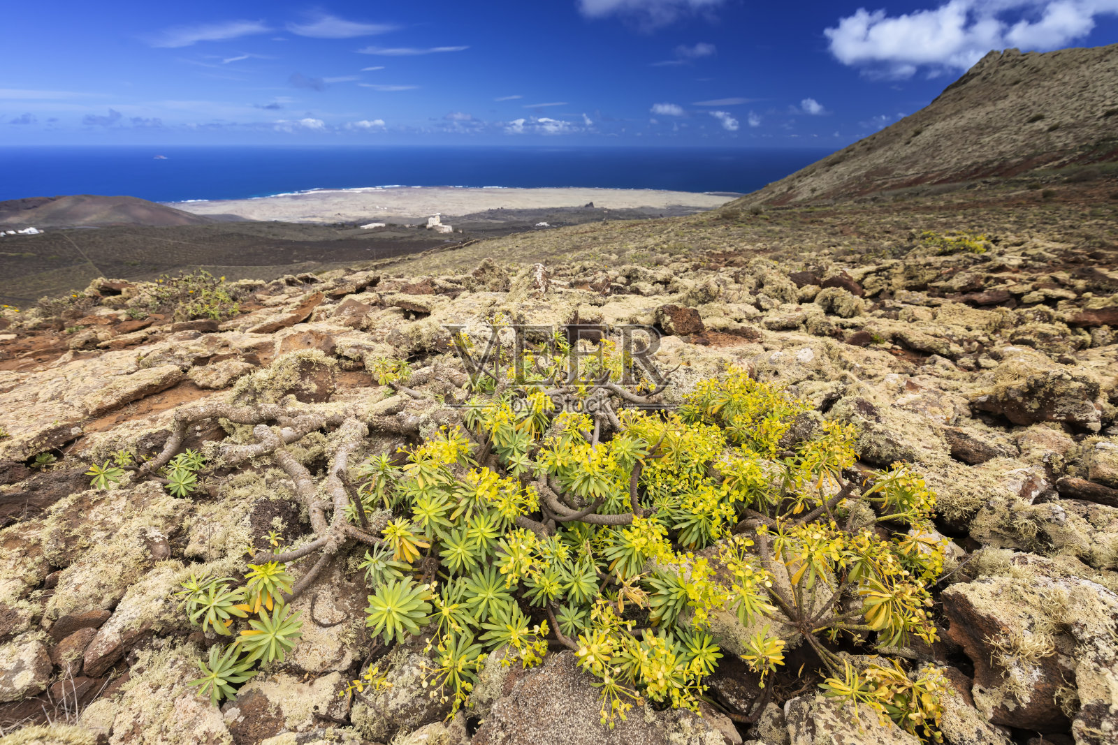 兰萨罗特火山岛照片摄影图片