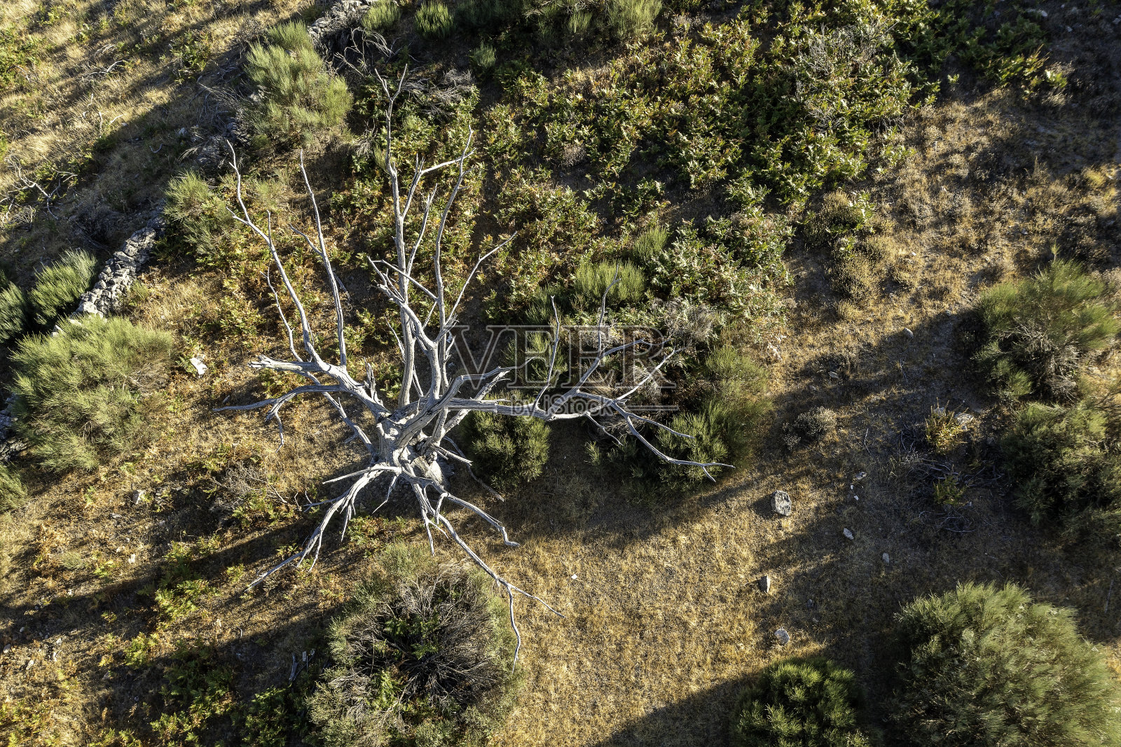 无人机鸟瞰西班牙埃斯特雷马杜拉北部阳光明媚的春季干旱景观，有道路、树木、植物和岩石。照片摄影图片