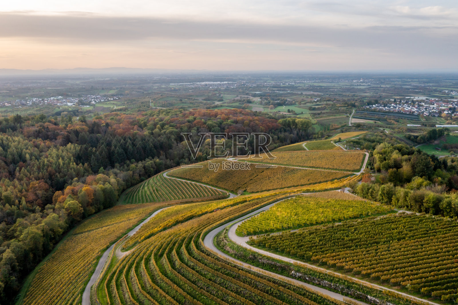 俯瞰葡萄园和黑森林-德国照片摄影图片