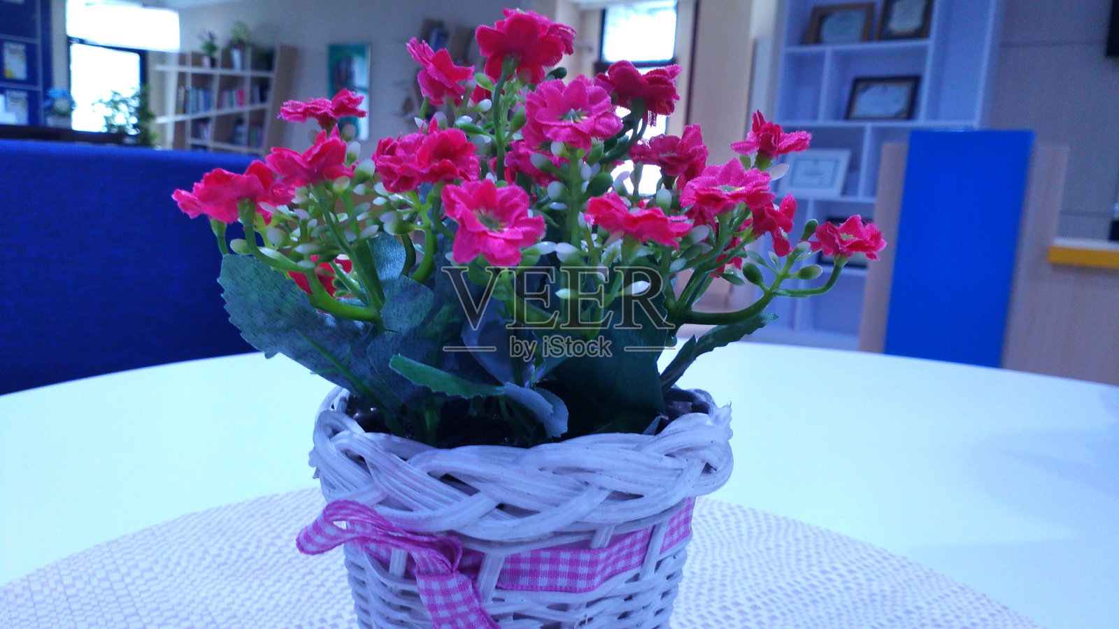 花盆里的假花照片摄影图片