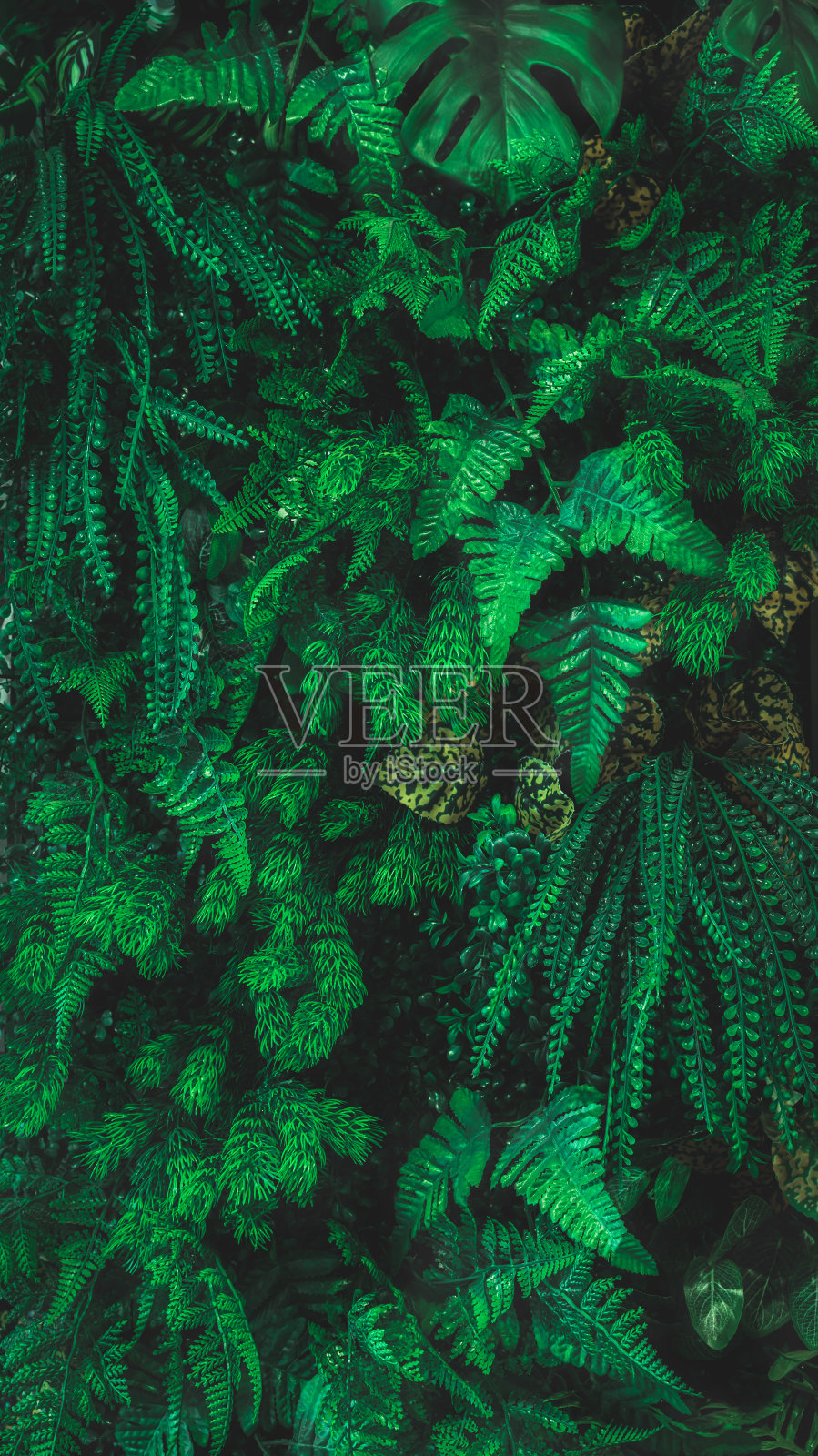 绿叶背景。草本墙，植物墙，天然绿色壁纸和背景。自然的墙。绿色森林的自然背景照片摄影图片