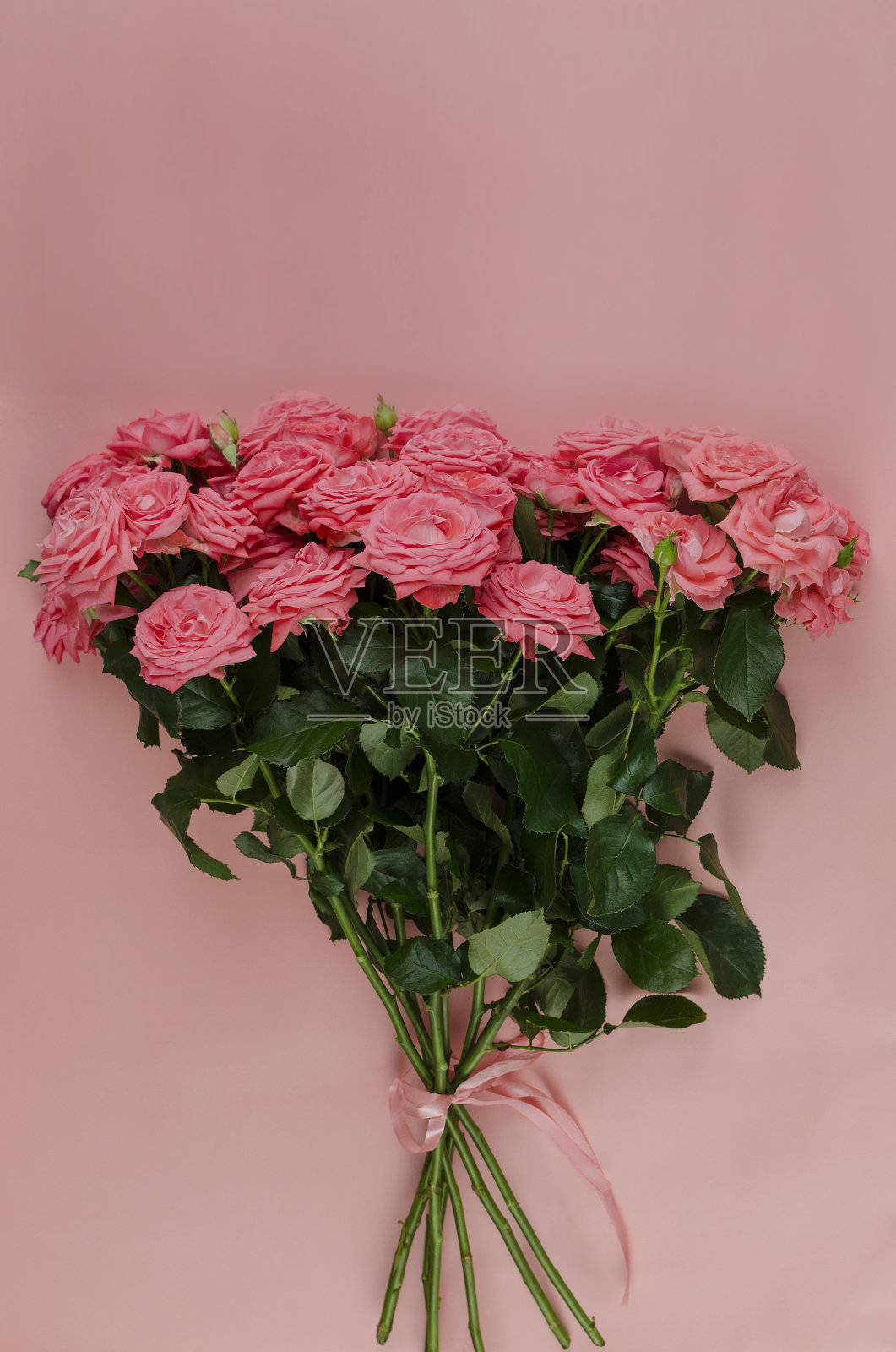 一束粉红色的荷兰玫瑰，从上面的粉红色背景视图。母亲节，情人节，生日庆祝概念。贺卡。照片摄影图片