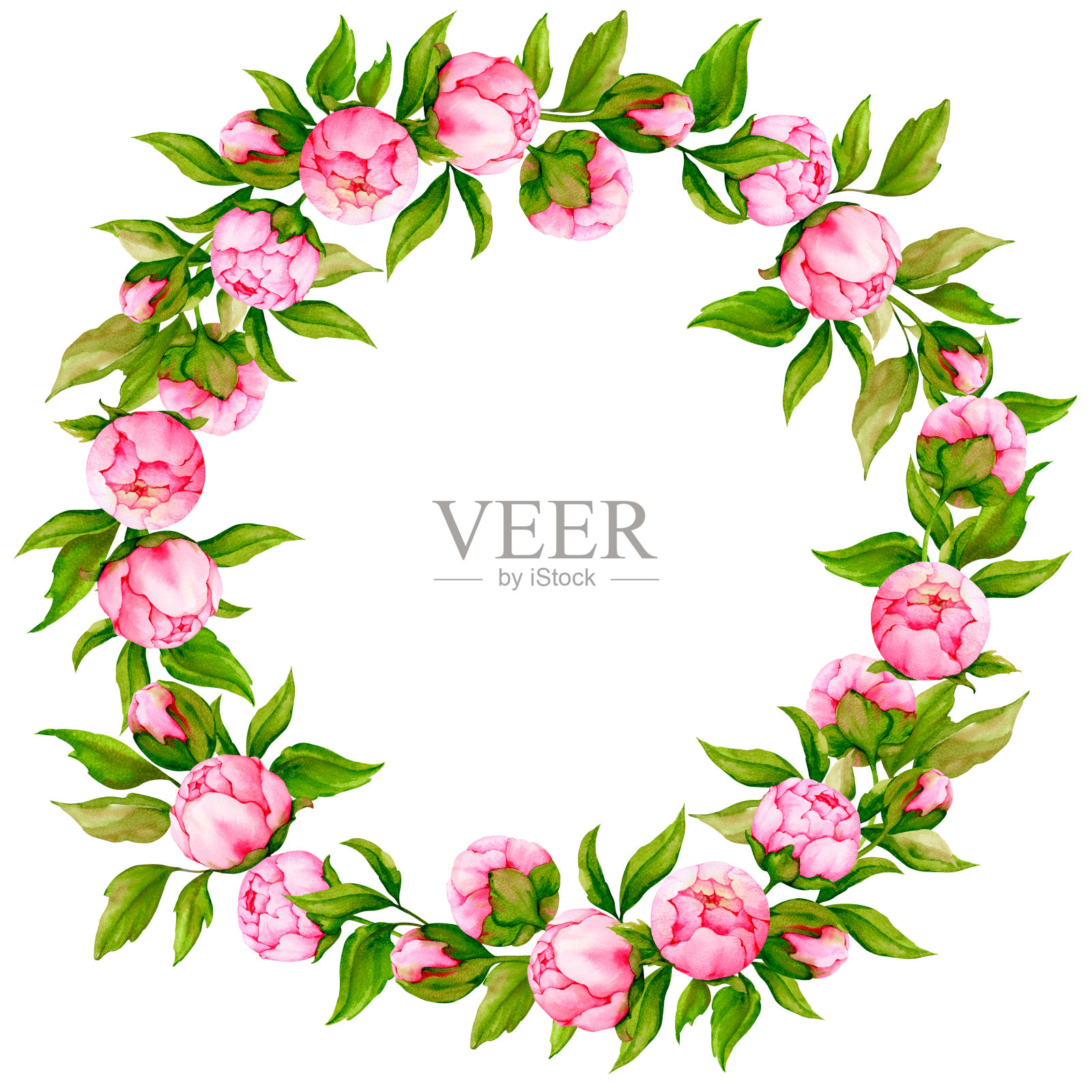 粉红色的牡丹花环。水彩边界设计贺卡，邀请，祝贺，海报，公告。婚礼、情人节、生日、周年纪念设计。插画图片素材