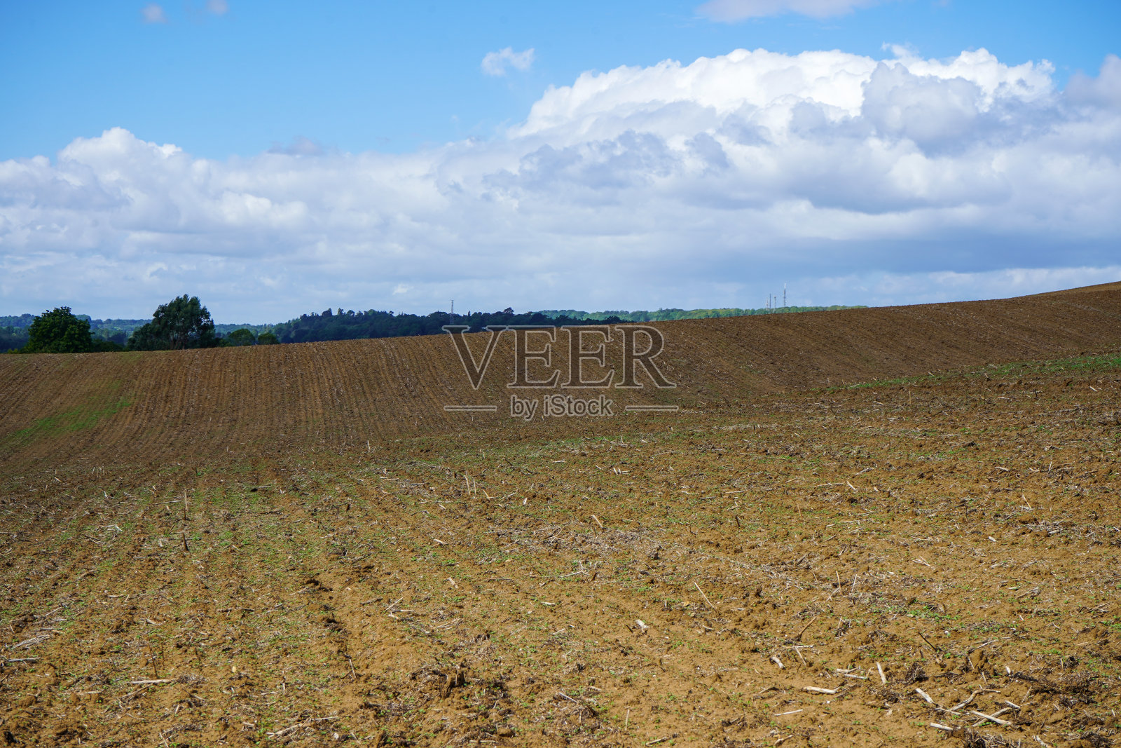 春天农场的景色照片摄影图片