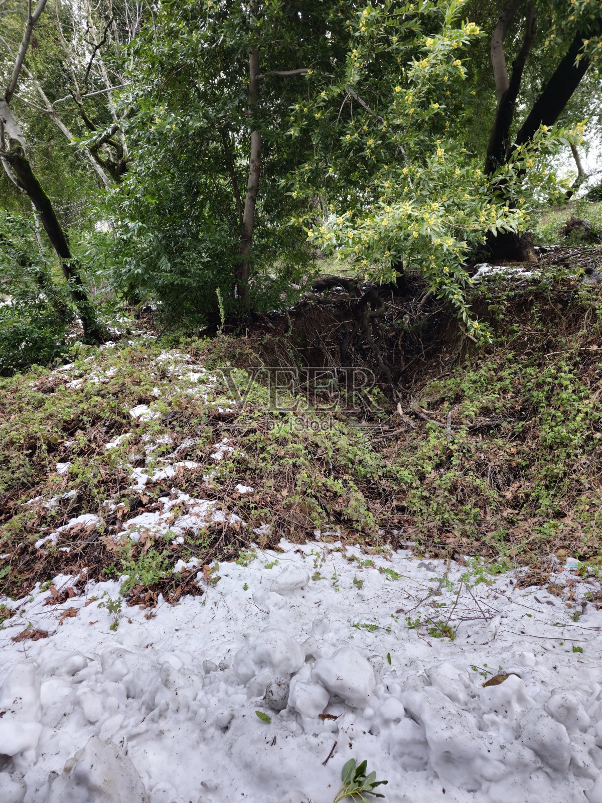 山上的雪照片摄影图片
