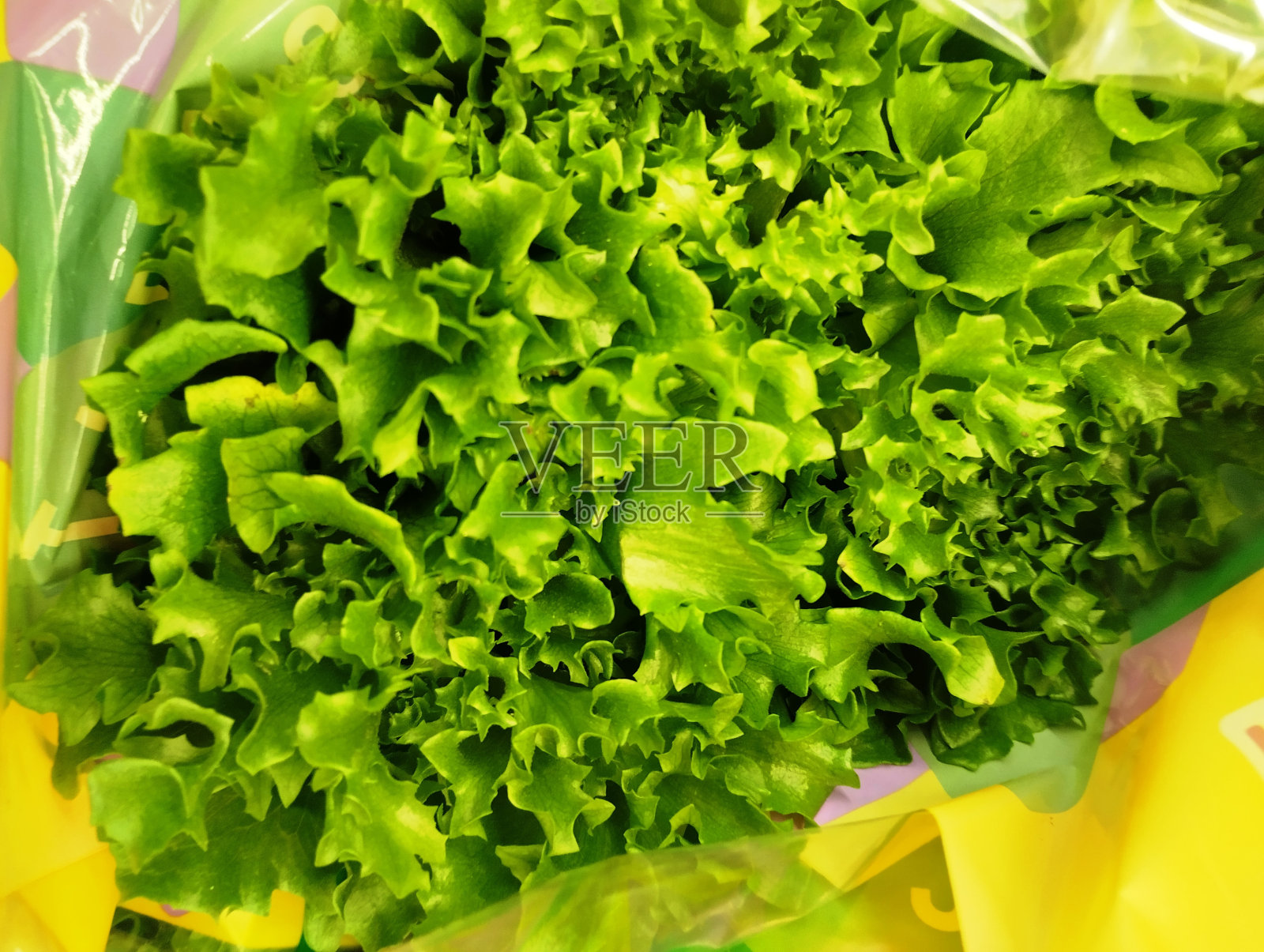 什锦沙拉照片摄影图片