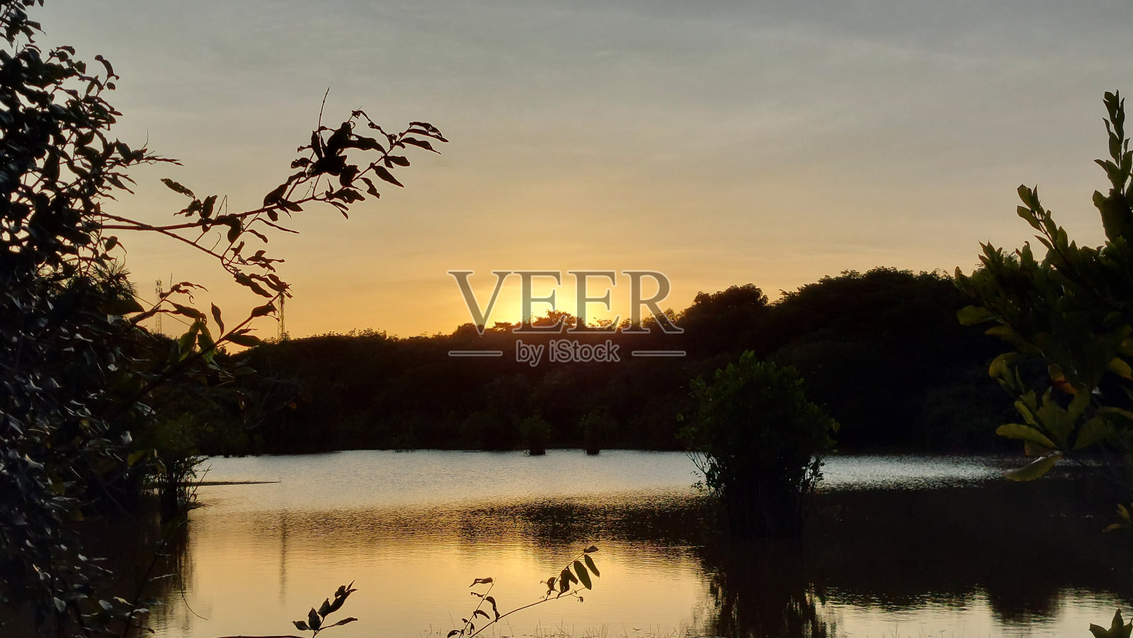 天然美女照片摄影图片