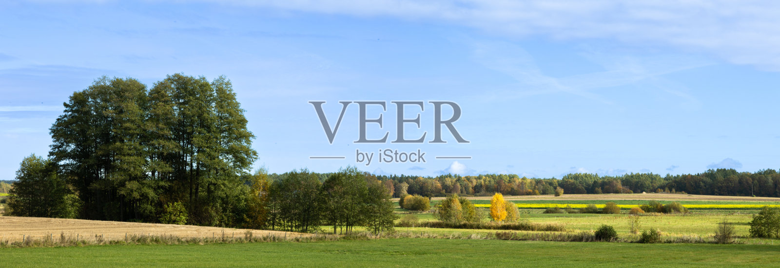 全景十月景观-秋天阳光明媚的日子，美丽的树木和彩色的叶子，波兰，欧洲，波德拉西，森林附近的耕地照片摄影图片