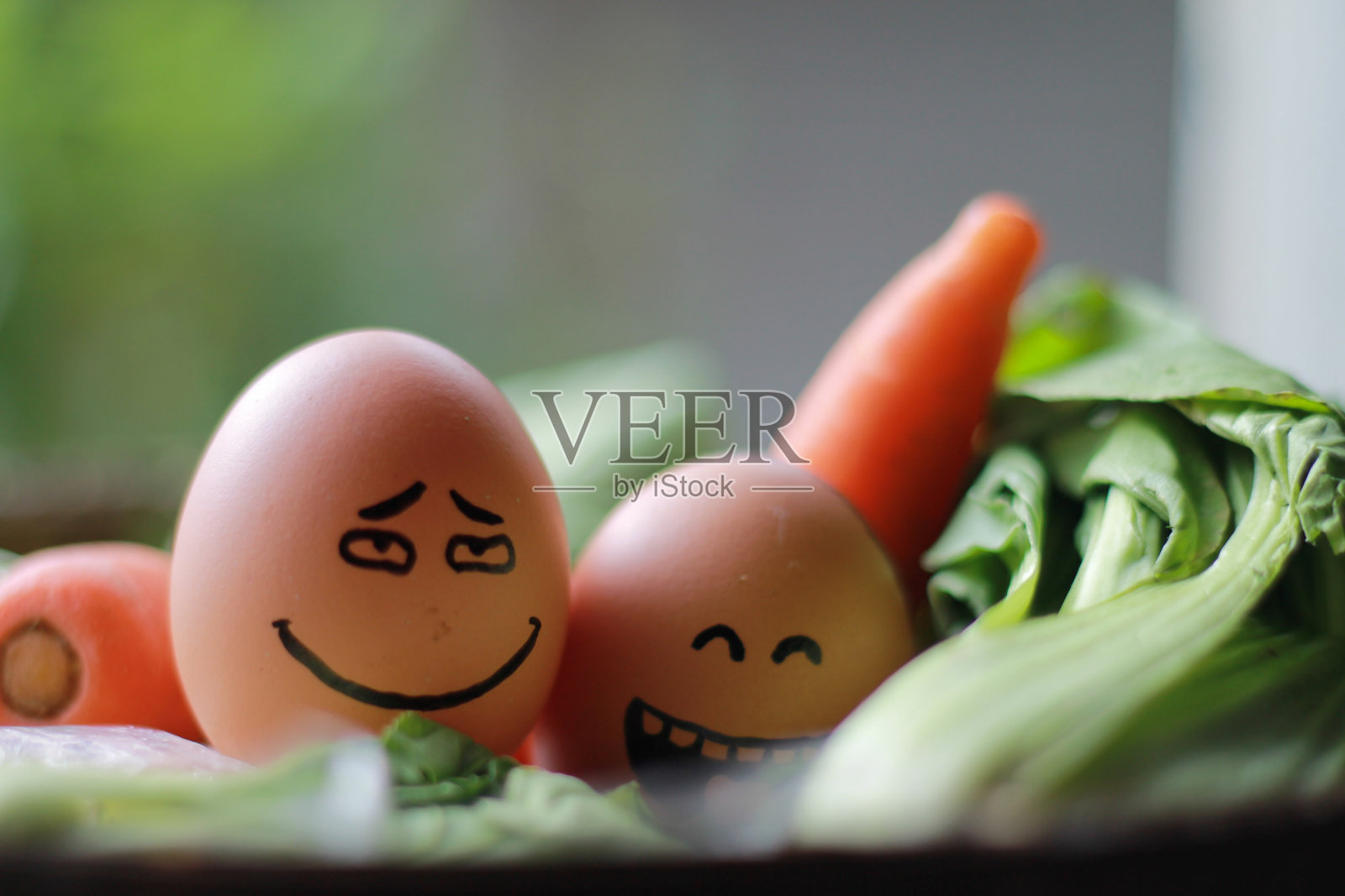 草药、鸡蛋和蔬菜的照片照片摄影图片