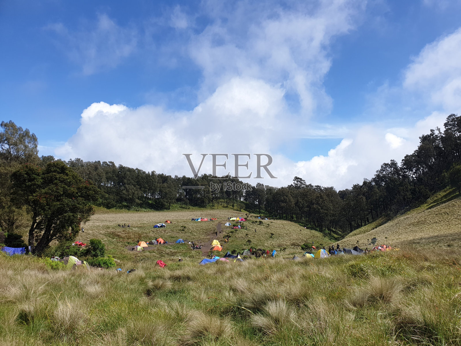 山稀树大草原照片摄影图片