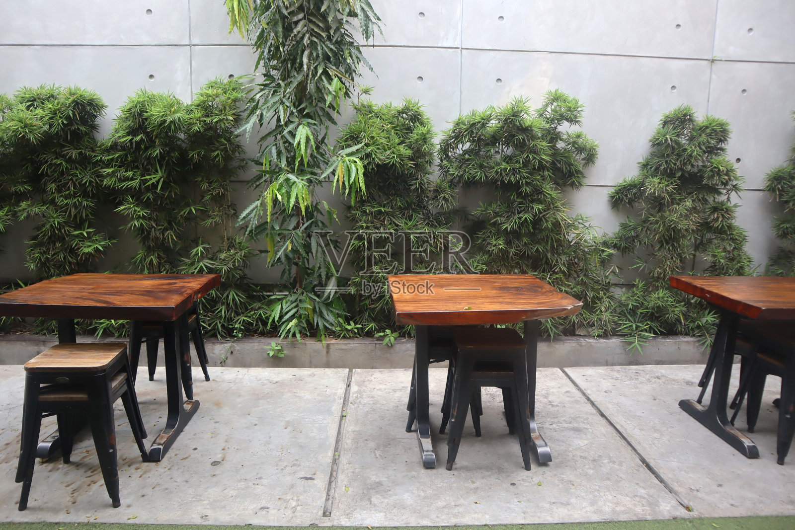 咖啡椅放在花园里照片摄影图片