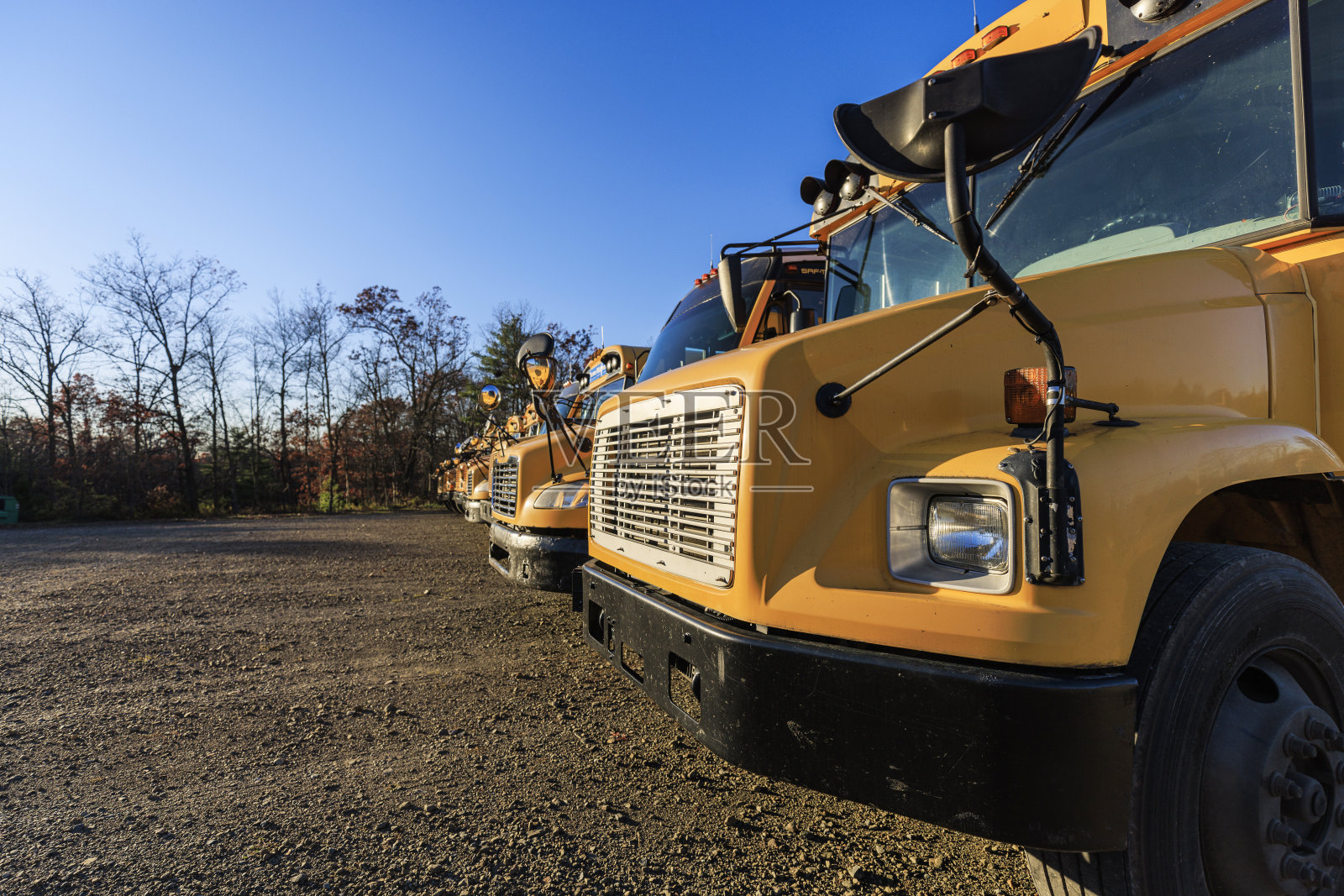 秋天，在宾夕法尼亚州的波科诺斯地区，校车排成一排。照片摄影图片