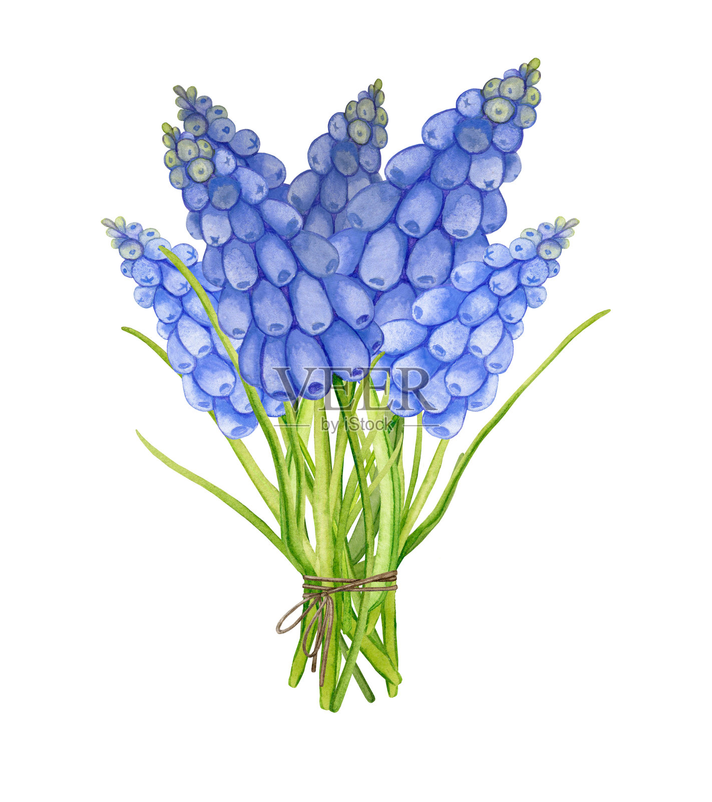 蓝色蘑菇的春天花束。用水彩画的春天的花朵。手绘水彩的节日设计卡片，海报，纺织品，文具，剪贴簿，标签和更多。插画图片素材