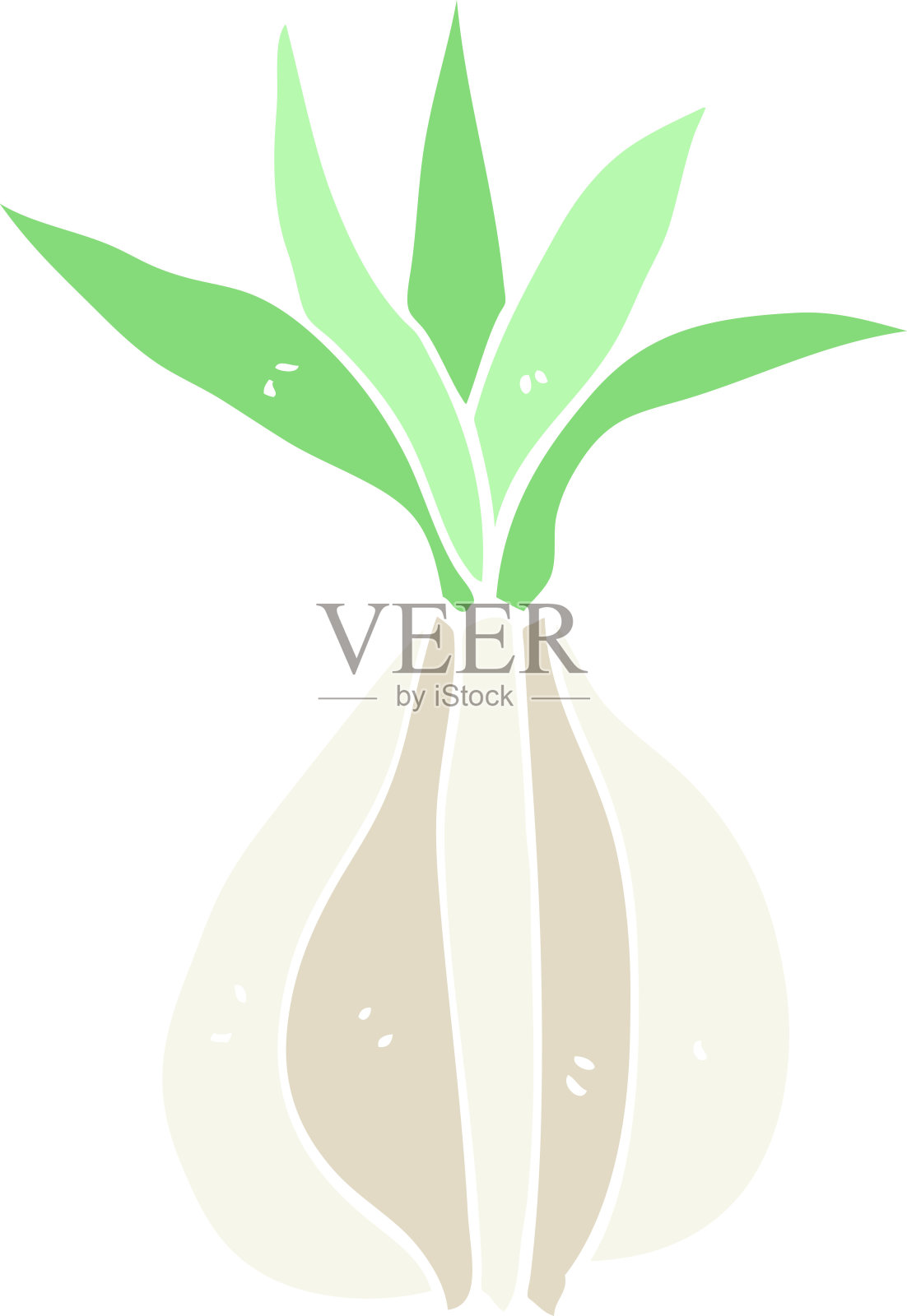 平面色彩风格卡通洋葱插画图片素材