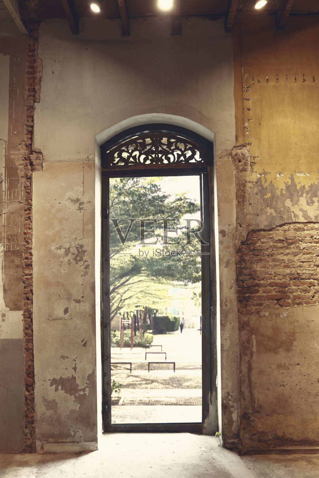 废弃建筑的老式门照片摄影图片