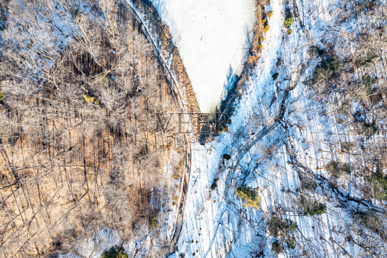 厄尔贝尔斯公园和北约克，安大略省，加拿大的观点照片摄影图片