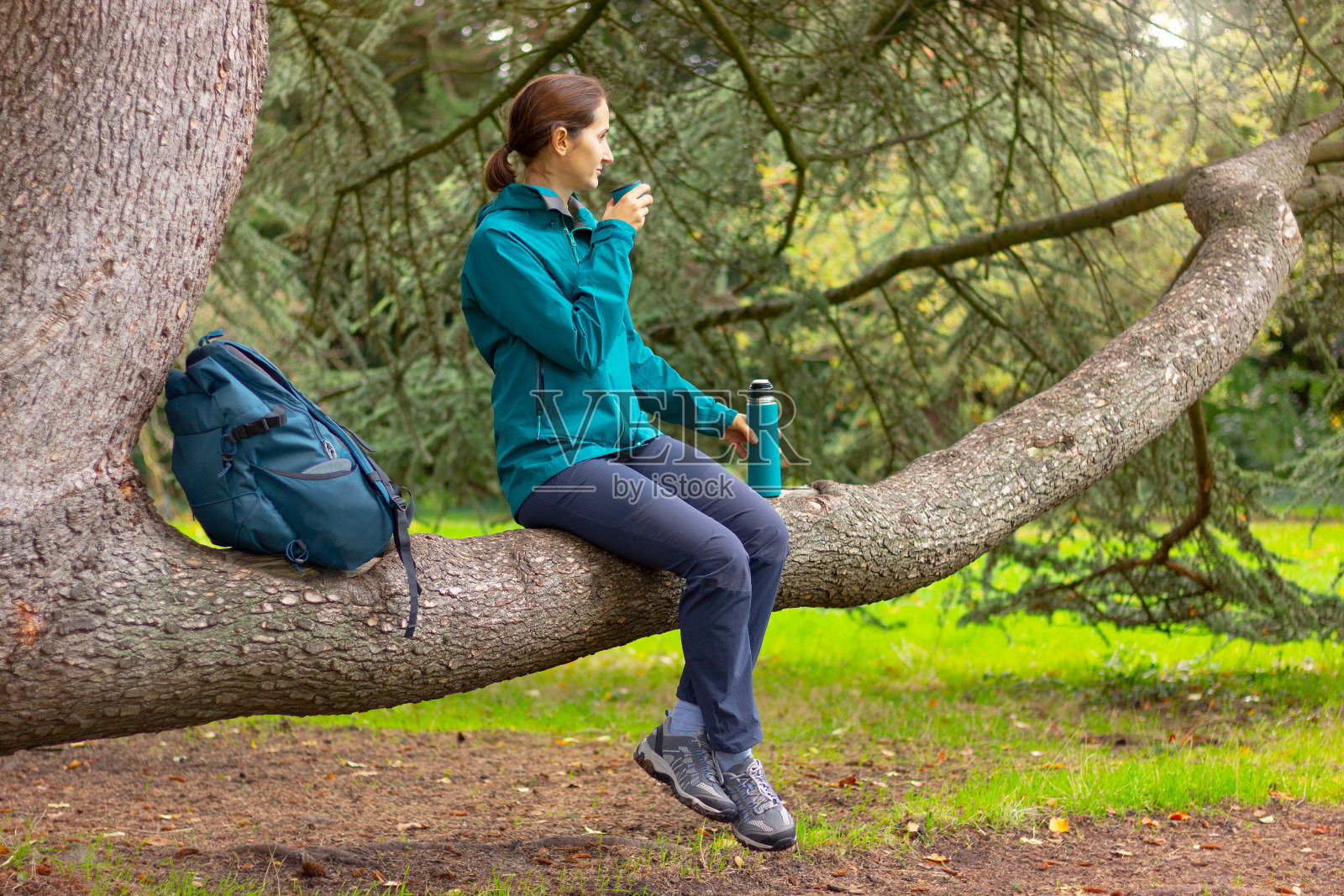 一个女人坐在森林里的树枝上，喝着热水瓶里的热茶。自然，徒步旅行，积极的生活方式，露营照片摄影图片