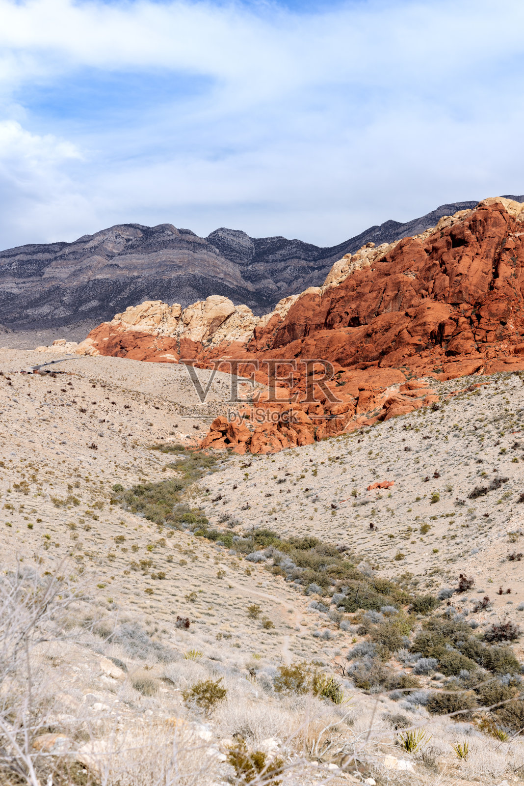 通往荒野的长长的徒步小径照片摄影图片