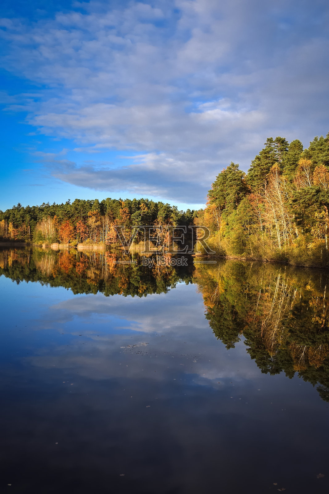 水边的秋景。照片摄影图片
