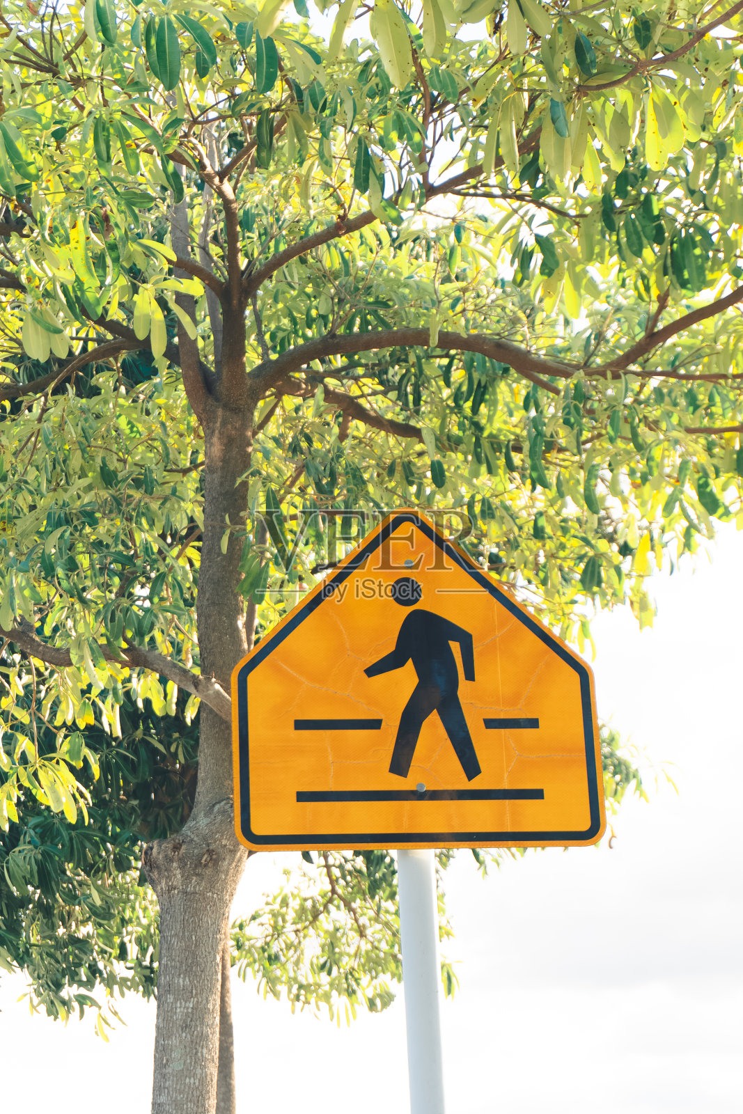 黄色行人警示牌照片摄影图片